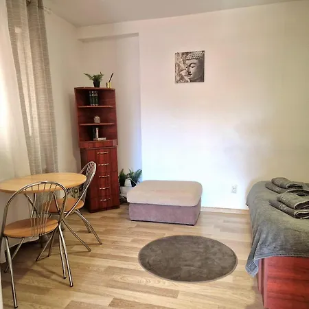 Cismigiu Park Apartman Bukarest